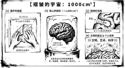 褶皱的宇宙大脑1000cm3